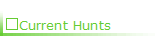 Current Hunts